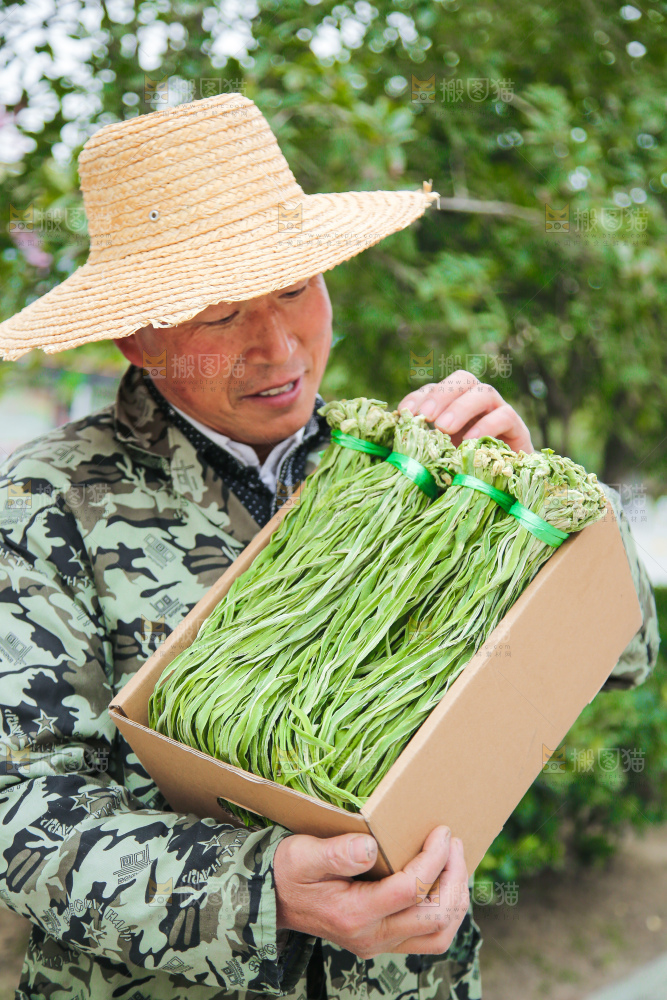 手里拿着贡菜
