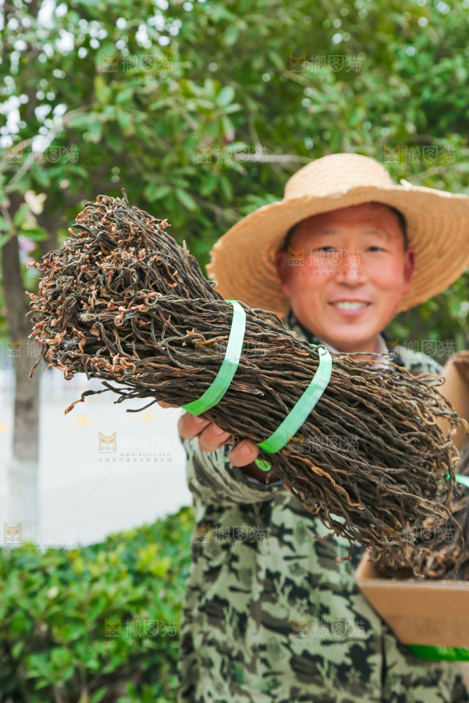 手里拿着干豆角