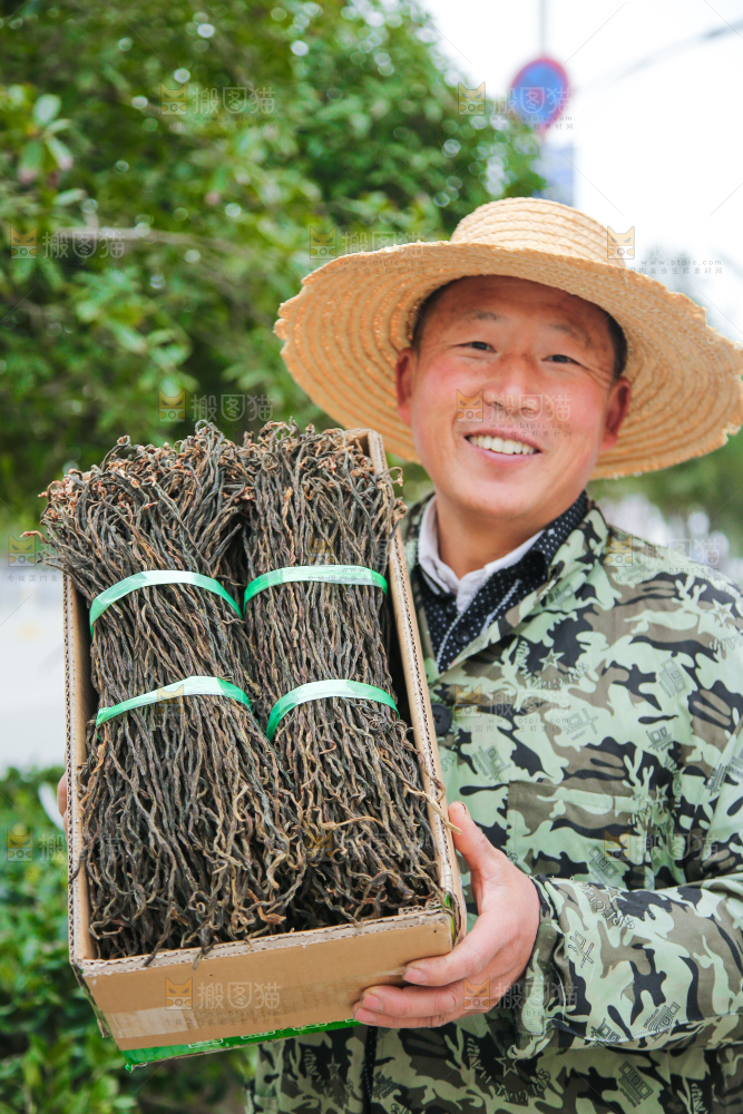 手里拿着干豆角