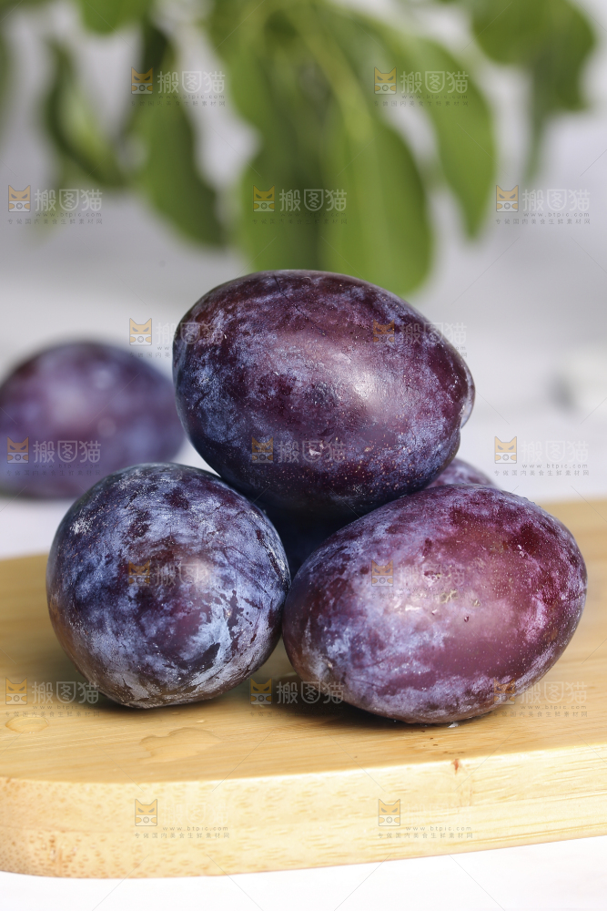 浅底上的西梅