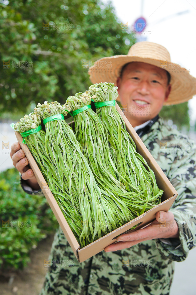 手里拿着贡菜