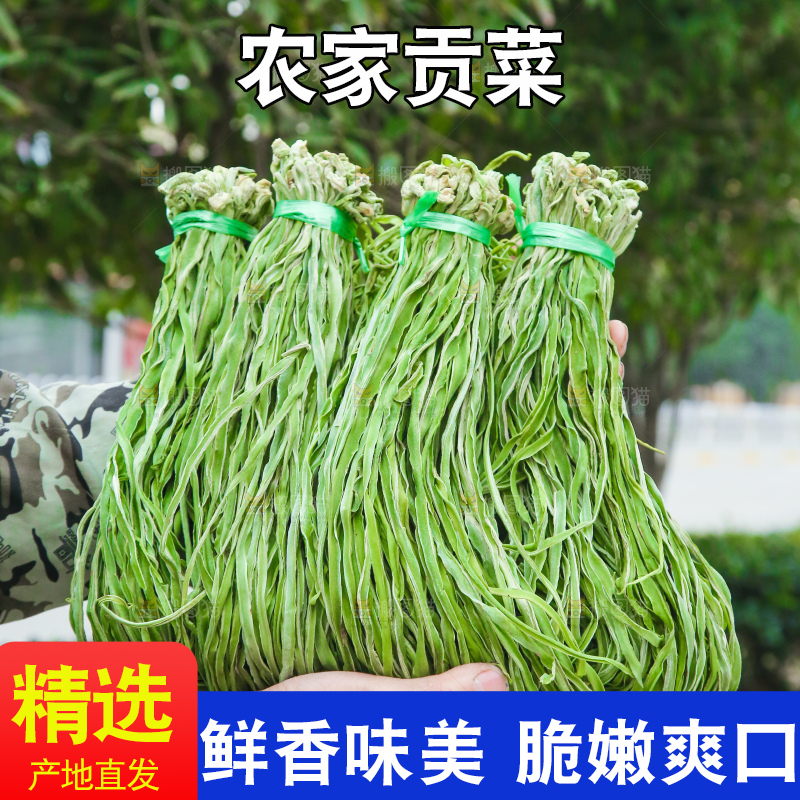 手里拿着贡菜