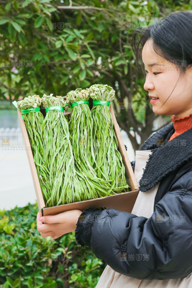 手里拿着贡菜