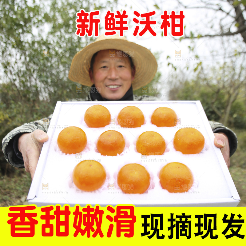 手里拿着沃柑