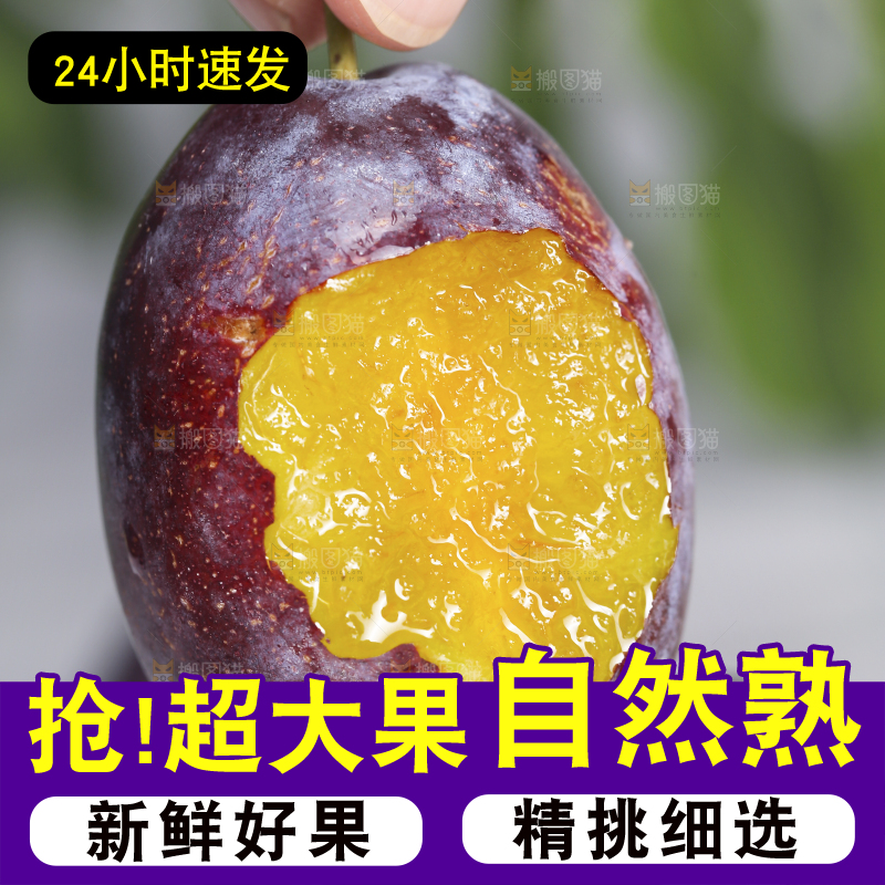 浅底上的西梅