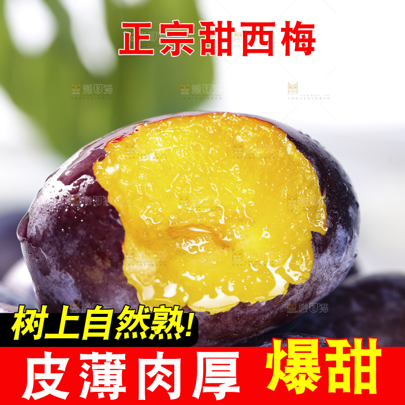 浅底上的西梅