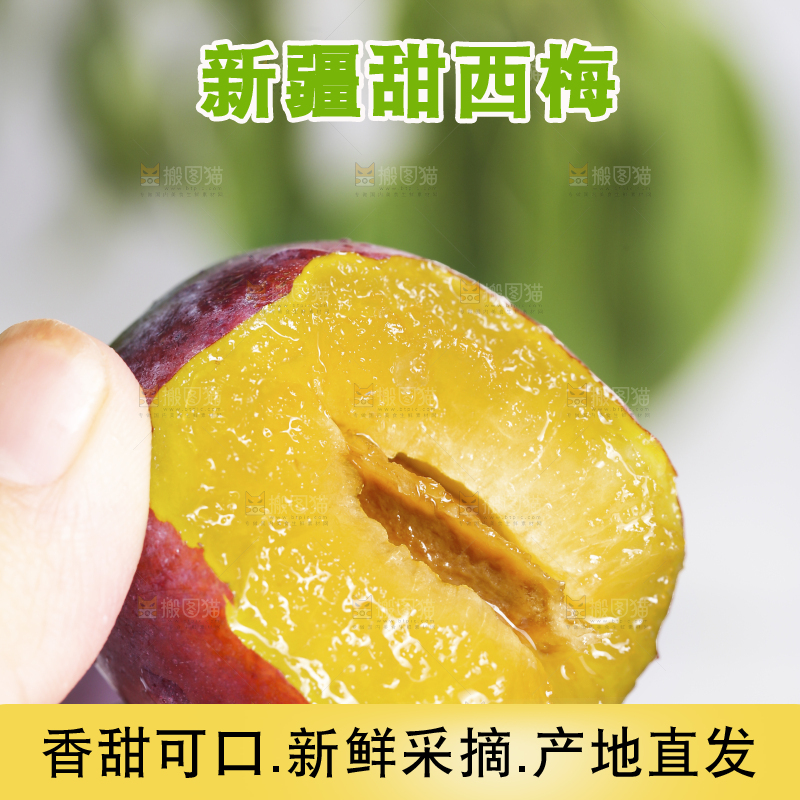 浅底上的西梅