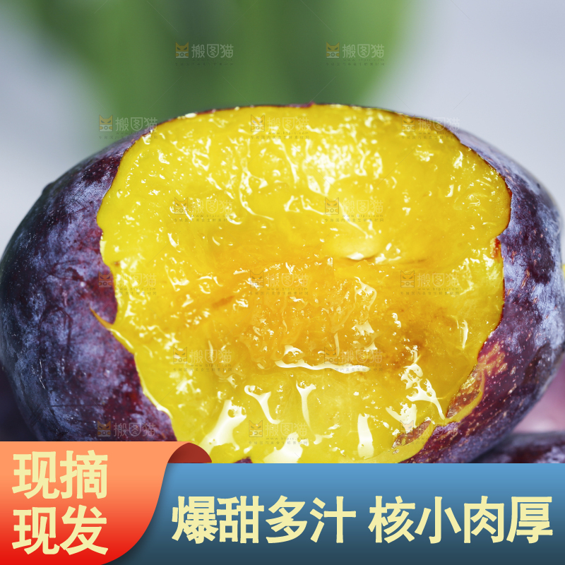 浅底上的西梅