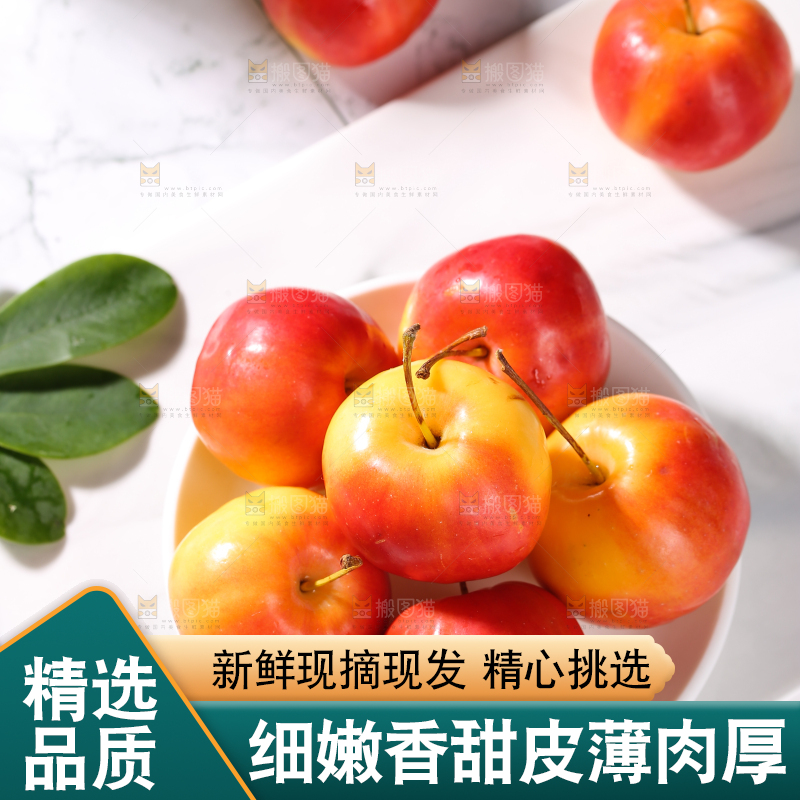 浅底上的海棠果