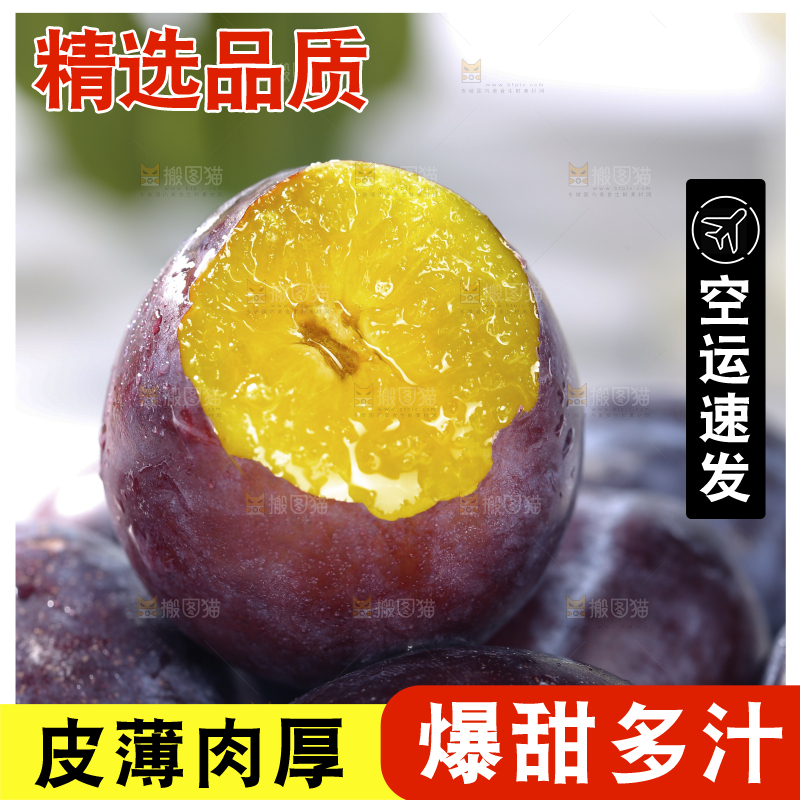 浅底上的西梅