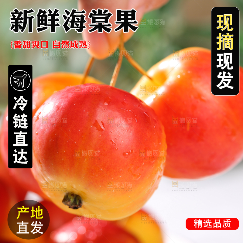 浅底上的海棠果
