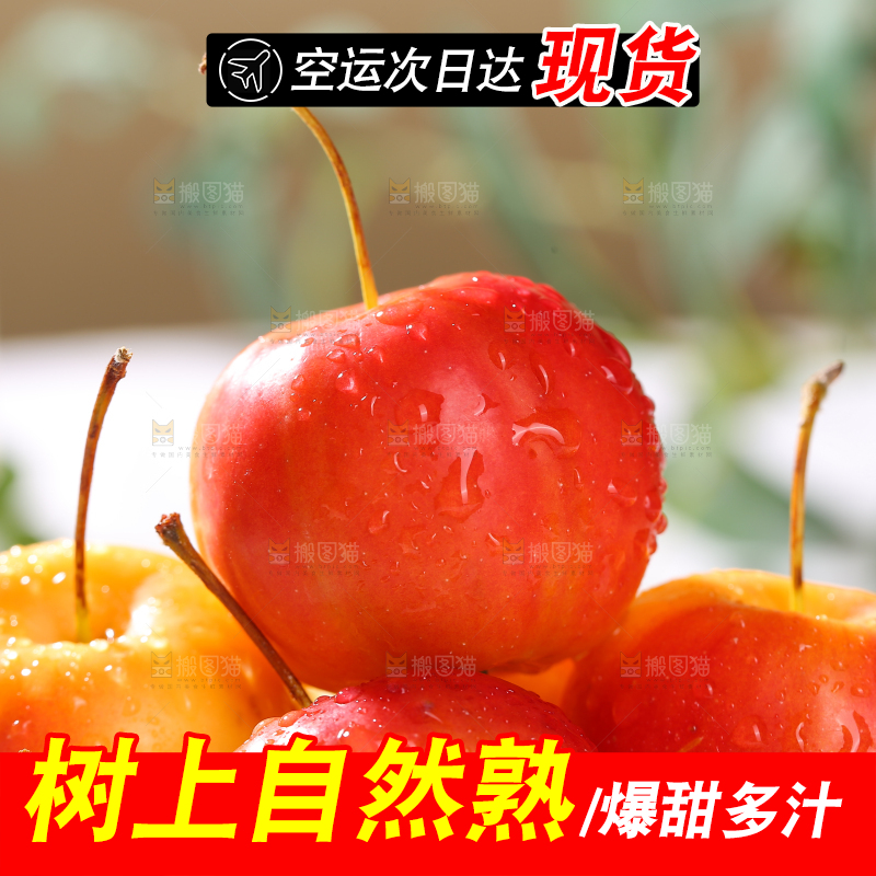 浅底上的海棠果