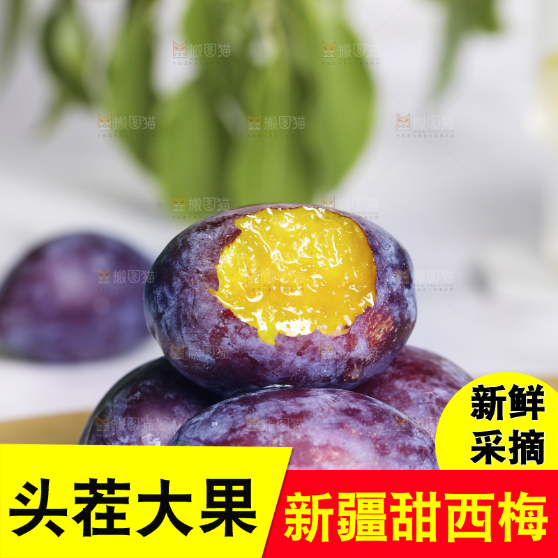 浅底上的西梅