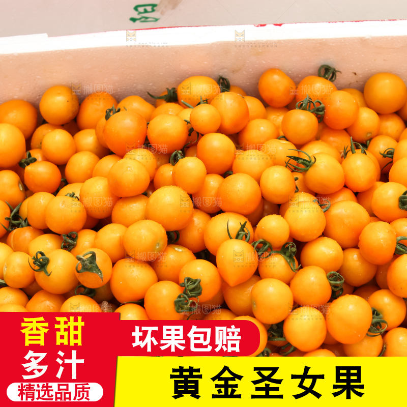大片黄金圣女果