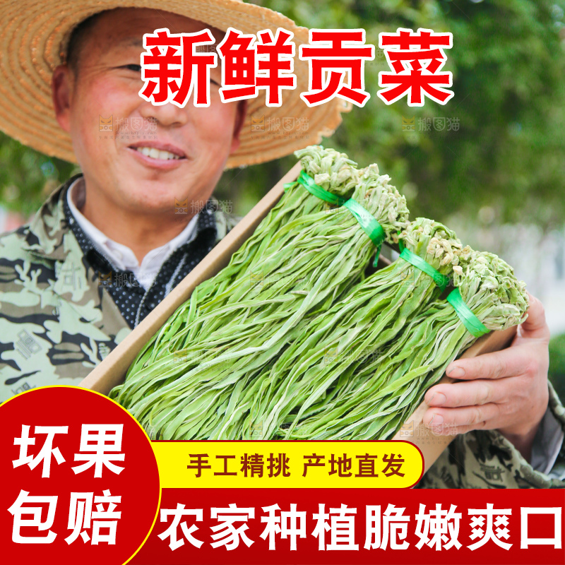 手里拿着贡菜