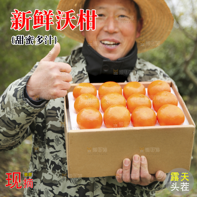 手里拿着沃柑