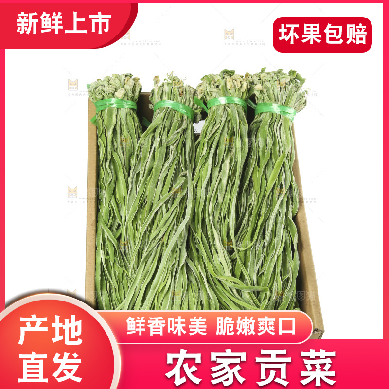 白底上的贡菜