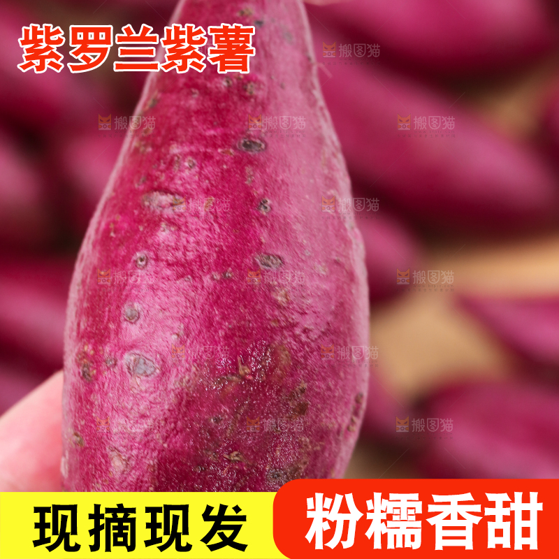 浅底上的板栗紫薯