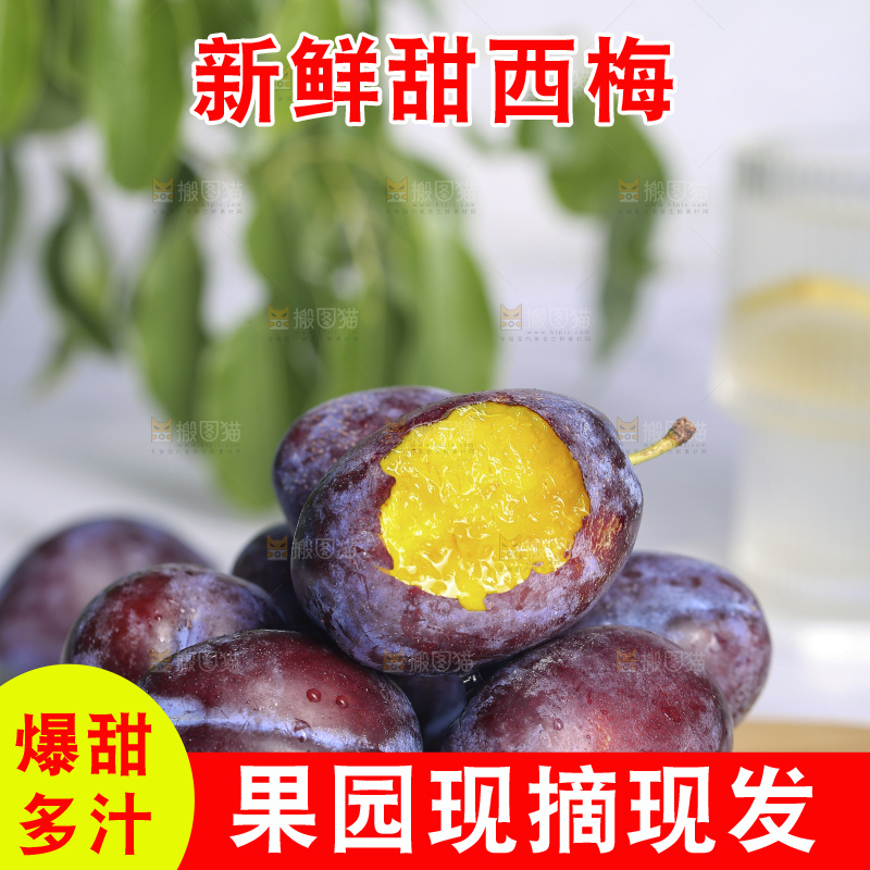 浅底上的西梅