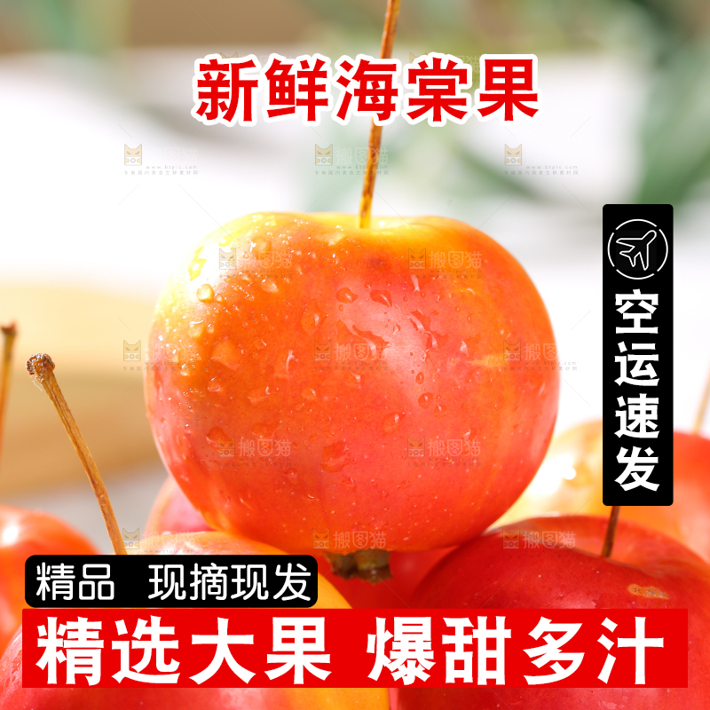 浅底上的海棠果