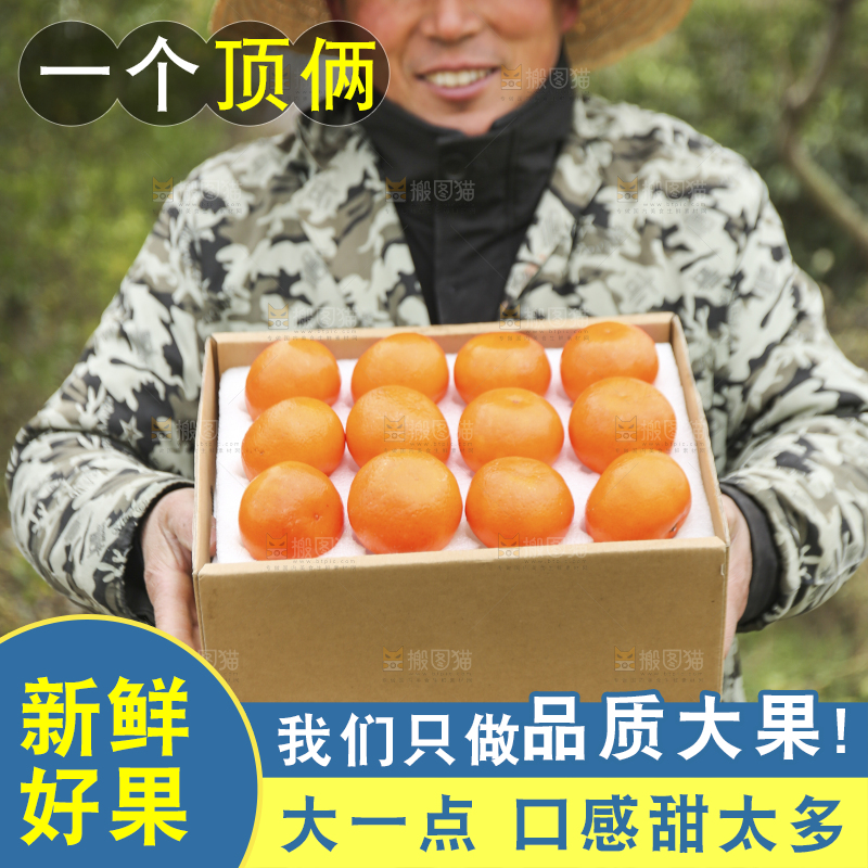 手里拿着沃柑