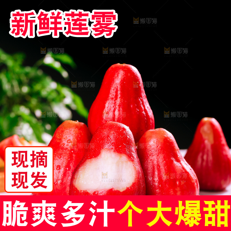 浅底上的莲雾