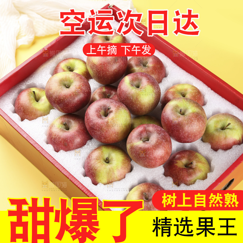浅底上的国光苹果