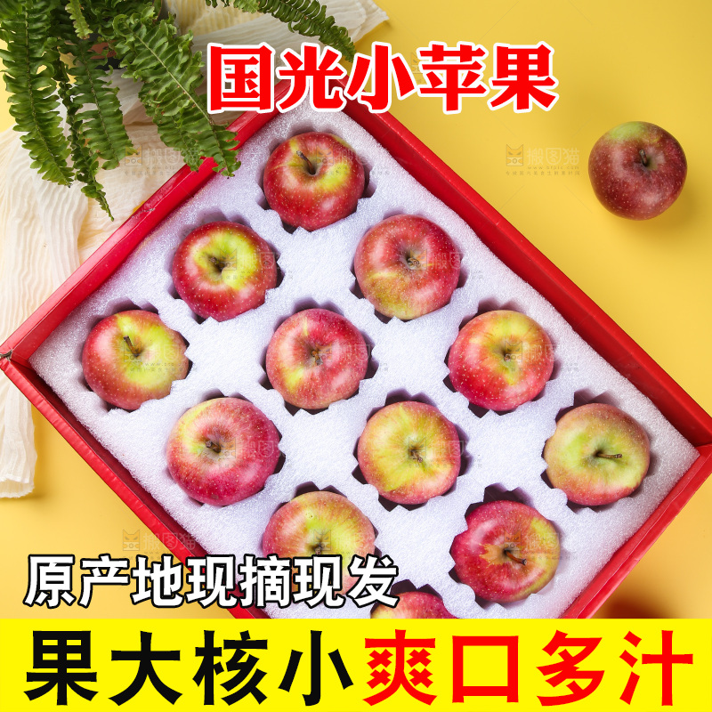 浅底上的国光苹果