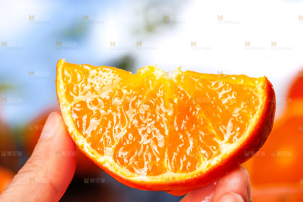 深底上的沃柑