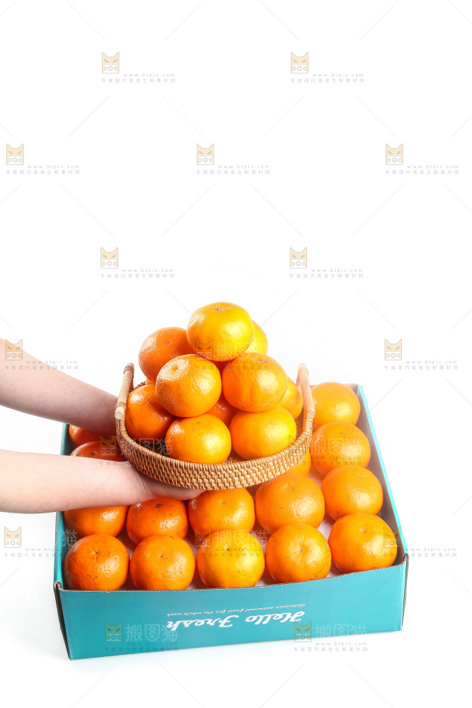 白底上的沃柑