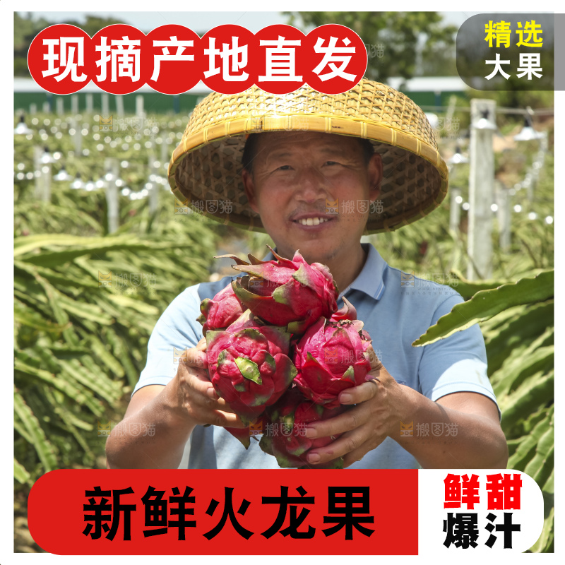 火龙果产地