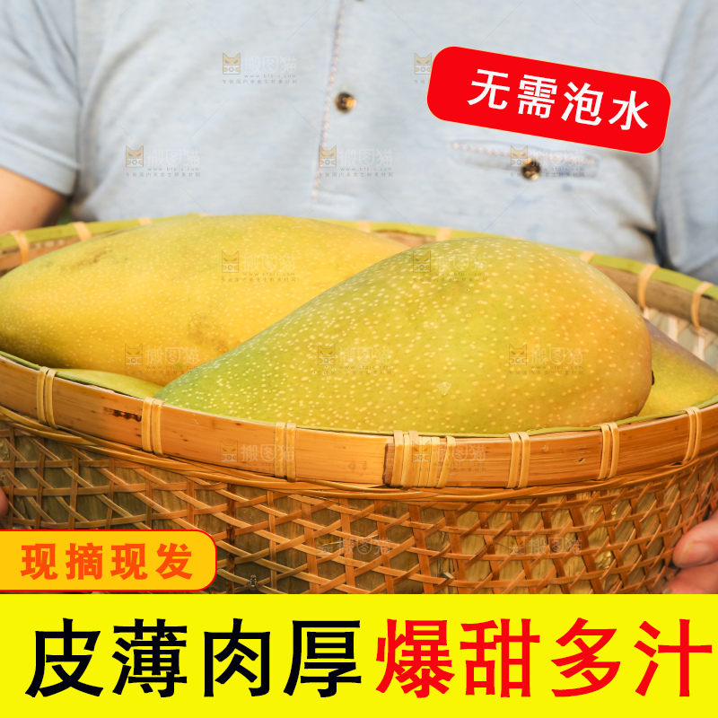 手里拿着金煌芒