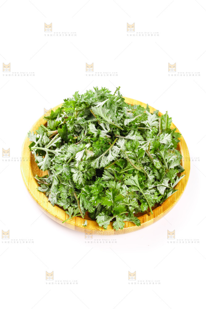 白底上的茵陈