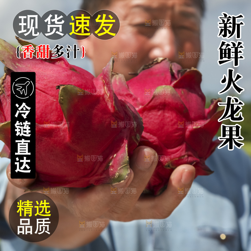 火龙果产地