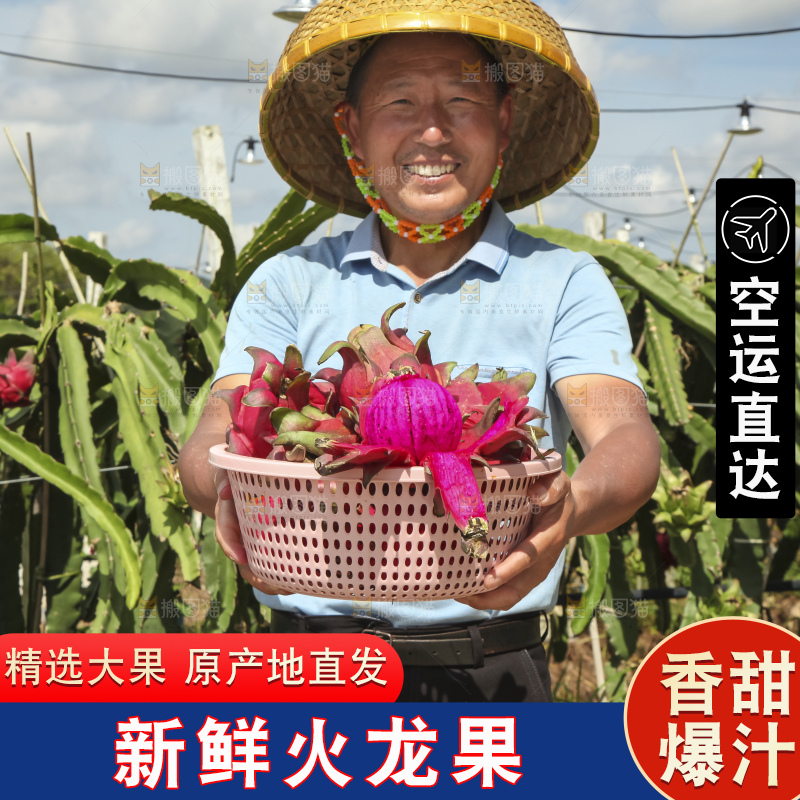 火龙果产地