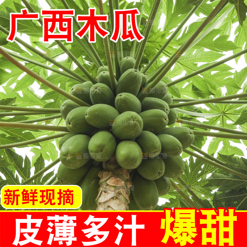 树上的木瓜