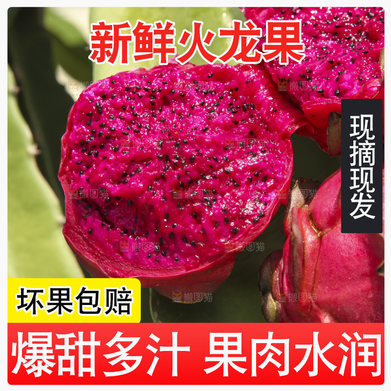 火龙果产地