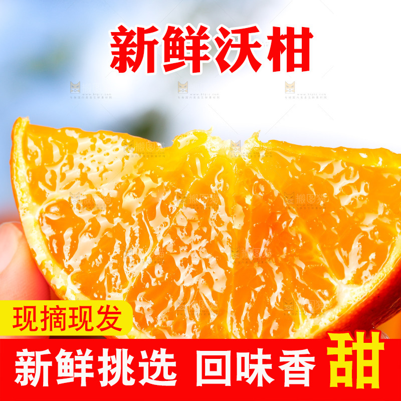 深底上的沃柑