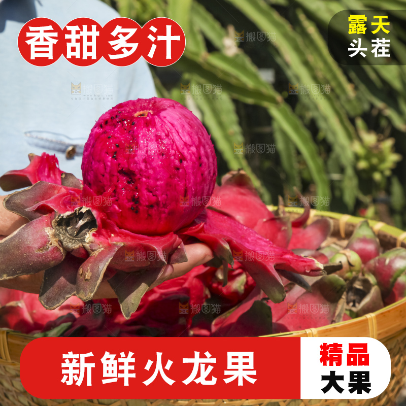 火龙果产地