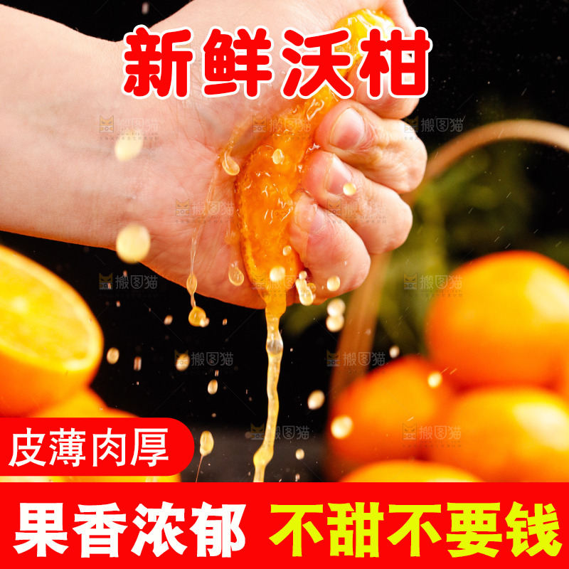 深底上的沃柑
