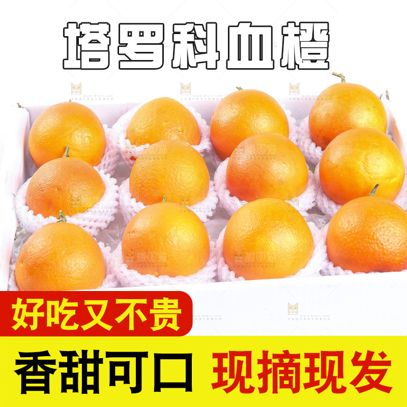白底上的玫瑰血橙