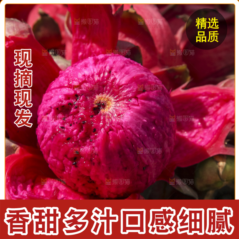 火龙果产地