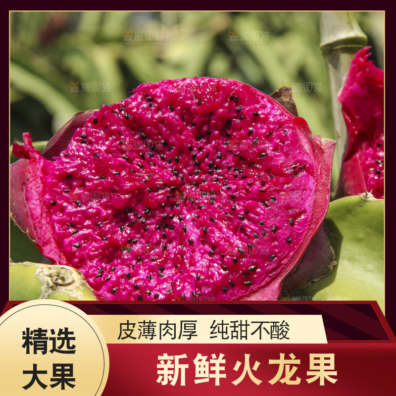 火龙果产地