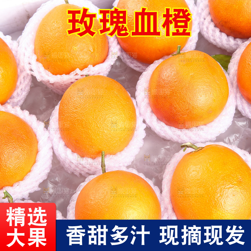 白底上的玫瑰血橙