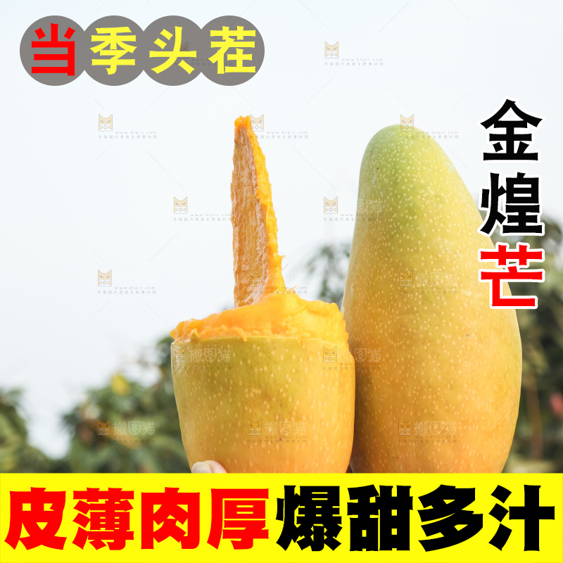 手里拿着金煌芒
