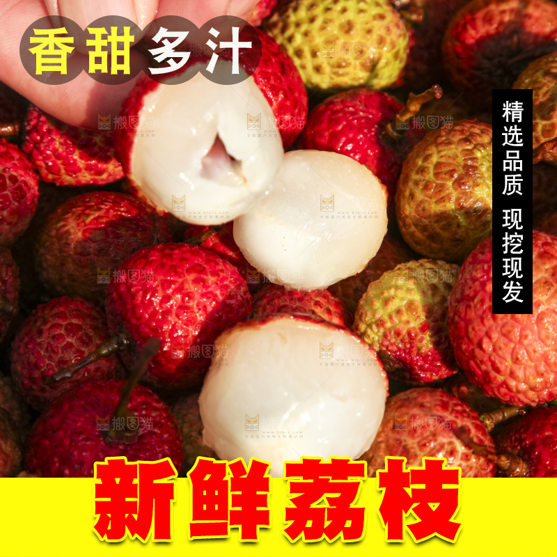 树上的荔枝