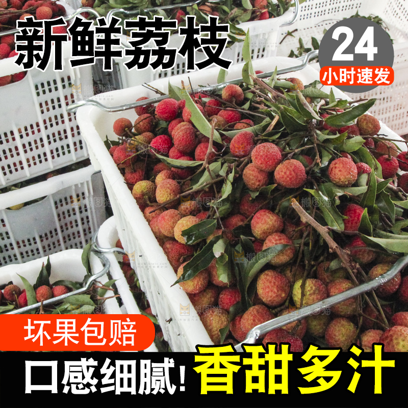 树上的荔枝