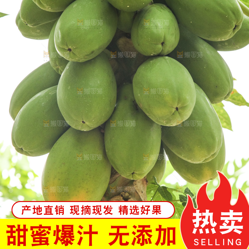 树上的木瓜