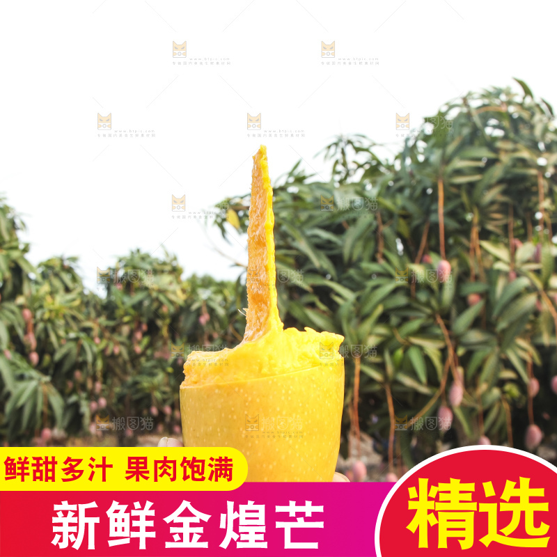 手里拿着金煌芒