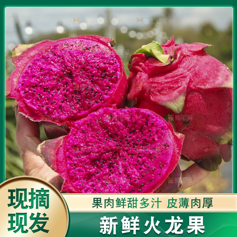 火龙果产地